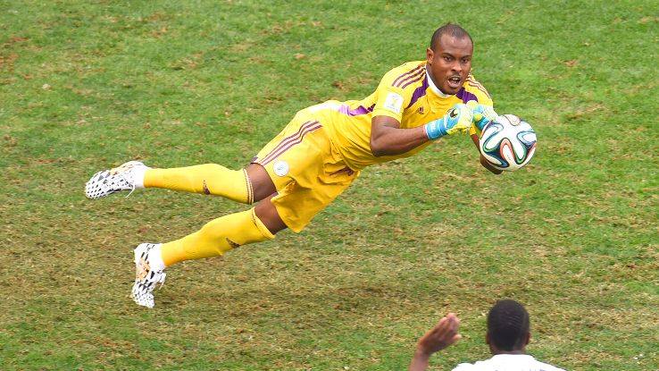 12118789_1054567194562482_2477089777033333994_n.jpg image