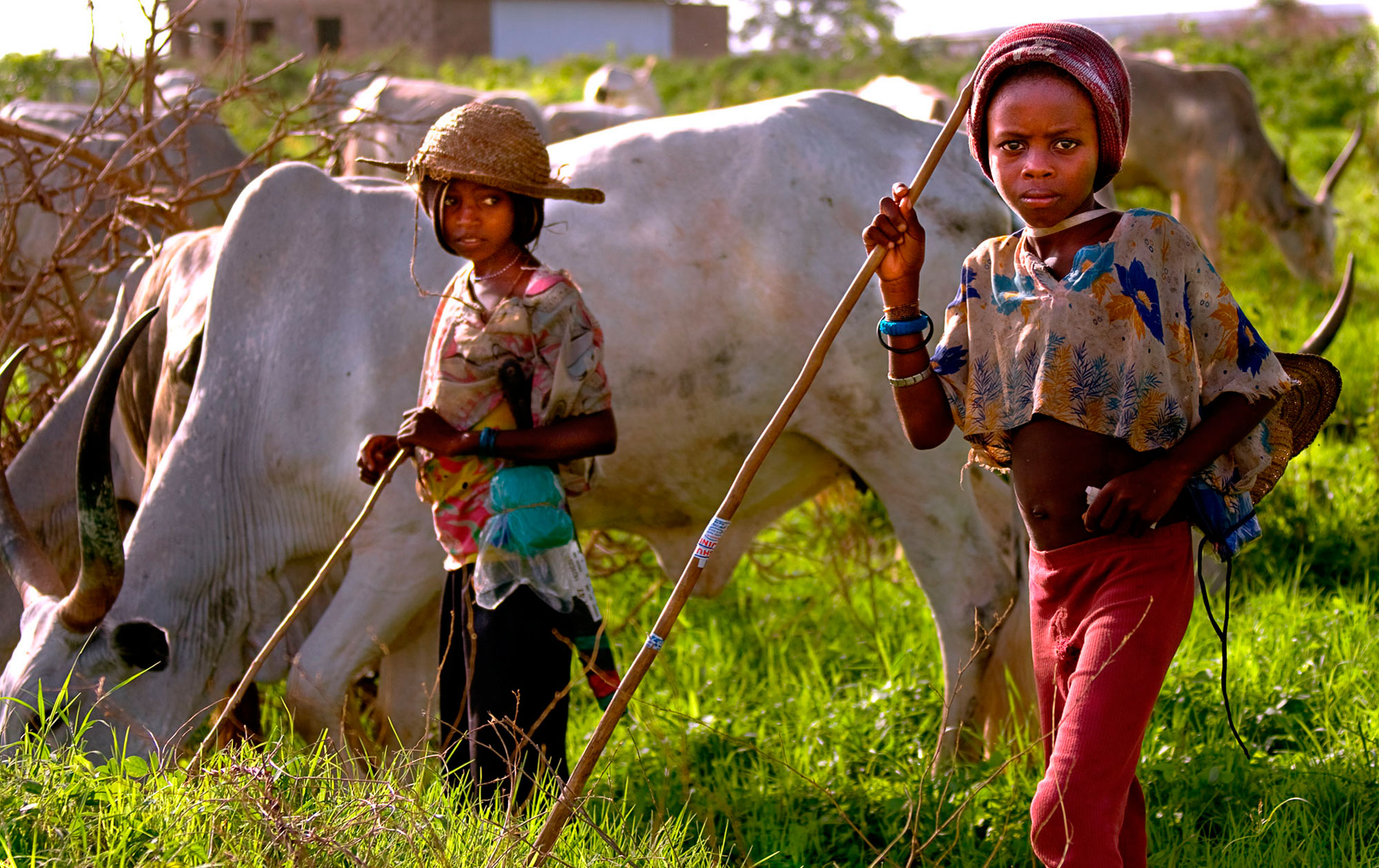 18nigeria-fulani-tribe.jpg image
