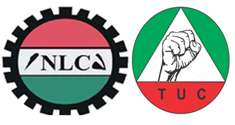 nlc-AND-tuc.jpg image