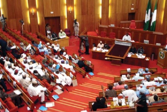 Senate-Nig1.jpg-thenationonline.jpg1_-640x431.jpg image