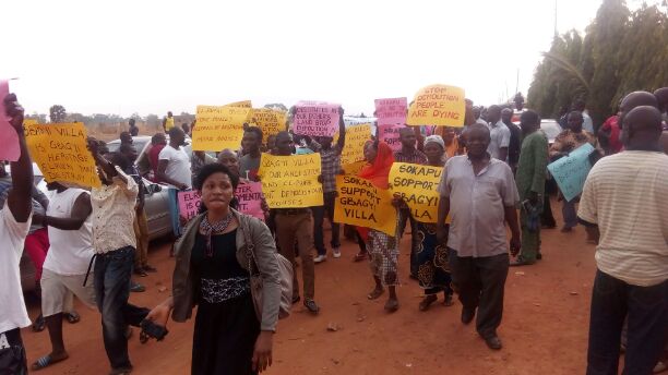 IMG_20160317_082921.jpg image